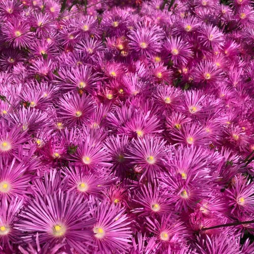 Welcome - Picture 7 of 14